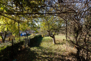 1230 Hamilton Rd